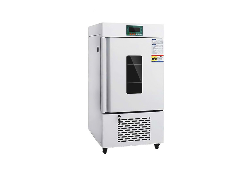 1725956601398524.jpg 1.jpg