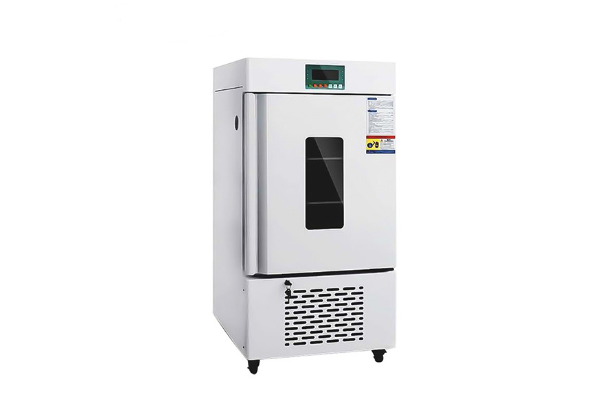 1763609250221708.jpg 未標題-2.jpg